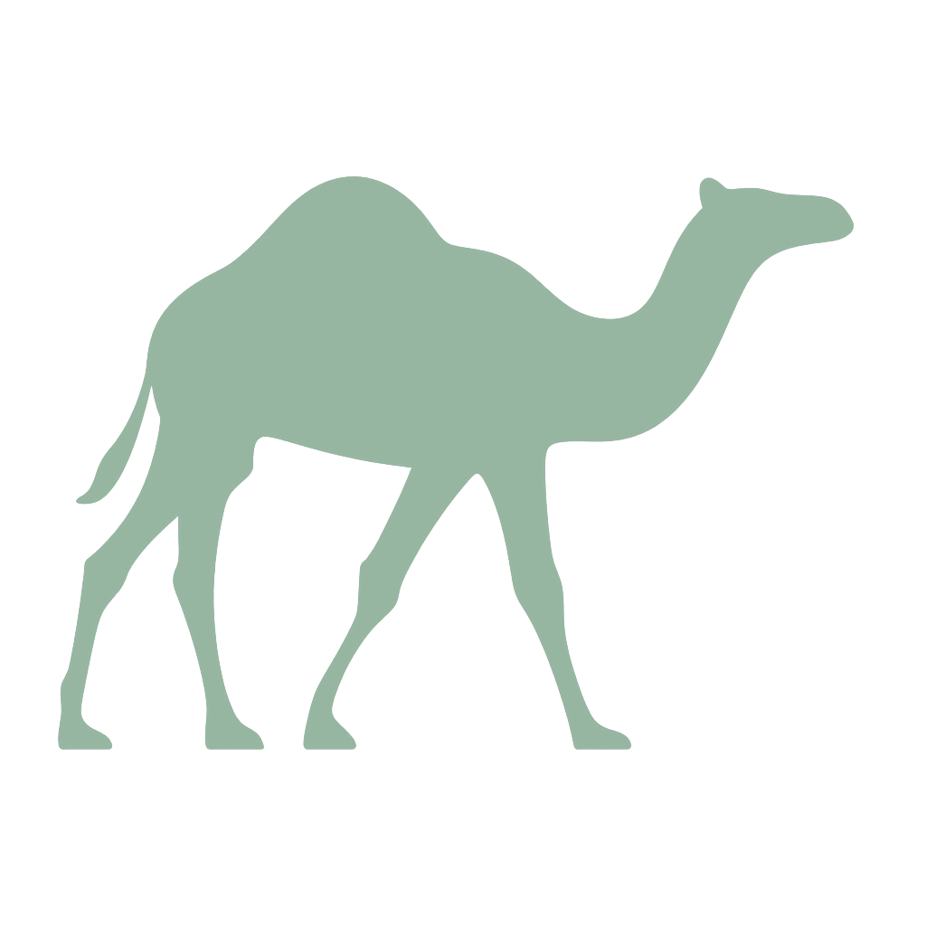 Camel Projects